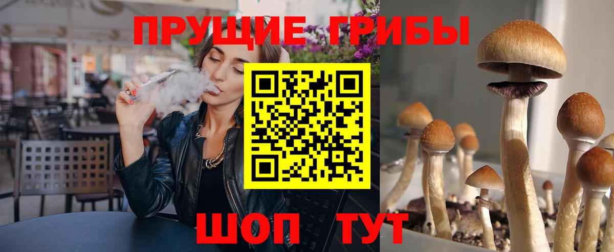как найти наркотики  Галлюциногенные грибы ЛСД  Вход с VPN  Корсаков 